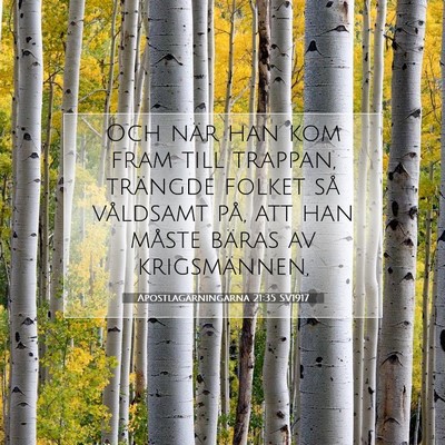 Apostlagärningarna 21:35 Bibelvers Förklarad