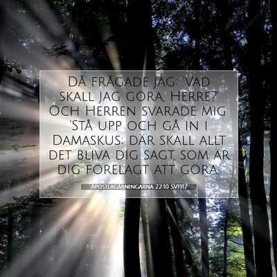 Apostlagärningarna 22:10 SV1917 Bild av bibelvers