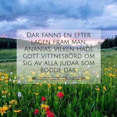 Apostlagärningarna 22:12 Bibelvers Förklarad