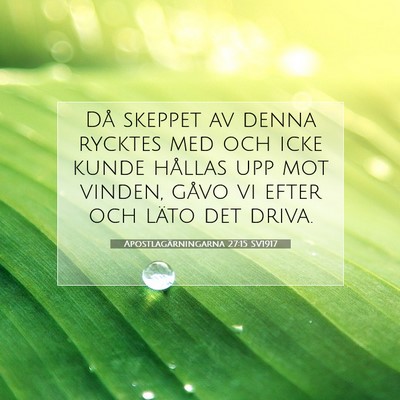 Apostlagärningarna 27:15 Bibelvers Förklarad