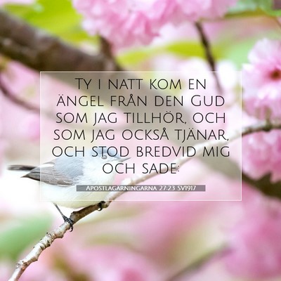 Apostlagärningarna 27:23 SV1917 Bild av bibelvers