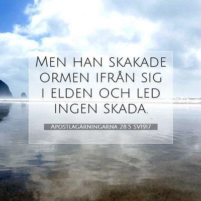 Apostlagärningarna 28:5 Bibelvers Förklarad