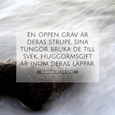 Romarbrevet 3:13 SV1917 Bild av bibelvers