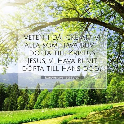 Romarbrevet 6:3 SV1917 Bild av bibelvers