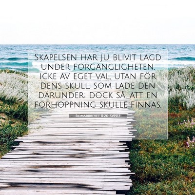 Romarbrevet 8:20 SV1917 Bild av bibelvers