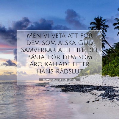 Romarbrevet 8:28 SV1917 Bild av bibelvers