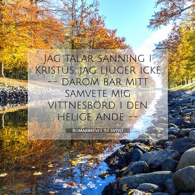 Romarbrevet 9:1 SV1917 Bild av bibelvers