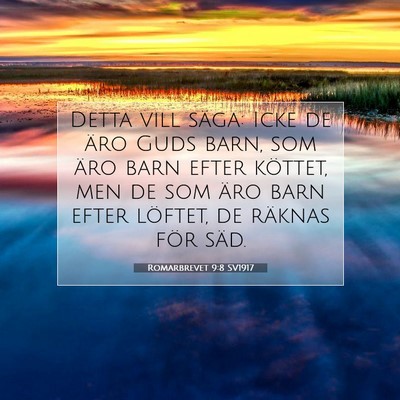Romarbrevet 9:8 SV1917 Bild av bibelvers