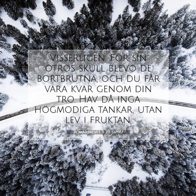 Romarbrevet 11:20 SV1917 Bild av bibelvers