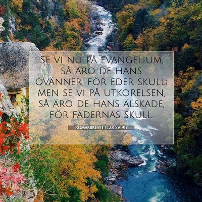 Romarbrevet 11:28 SV1917 Bild av bibelvers