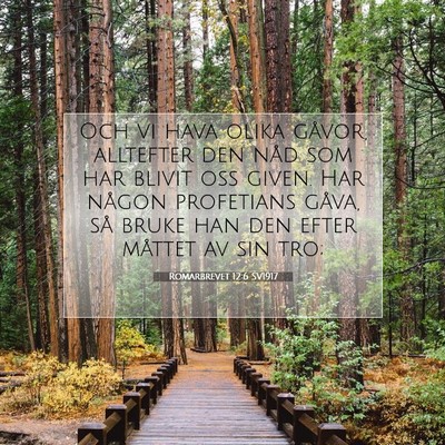 Romarbrevet 12:6 SV1917 Bild av bibelvers