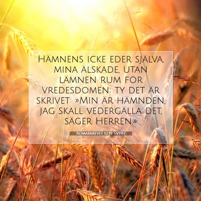 Romarbrevet 12:19 SV1917 Bild av bibelvers