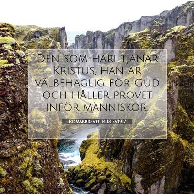 Romarbrevet 14:18 SV1917 Bild av bibelvers