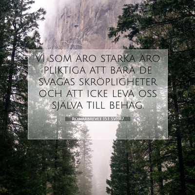 Romarbrevet 15:1 SV1917 Bild av bibelvers