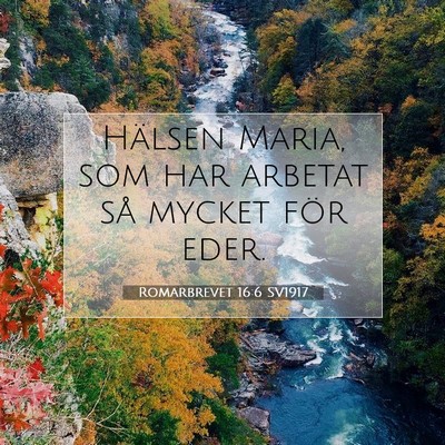 Romarbrevet 16:6 Bibelvers Förklarad