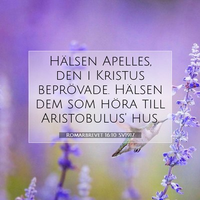 Romarbrevet 16:10 Bibelvers Förklarad