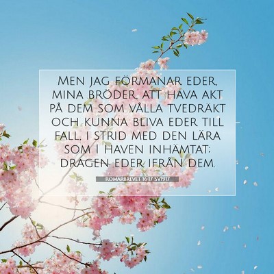 Romarbrevet 16:17 SV1917 Bild av bibelvers