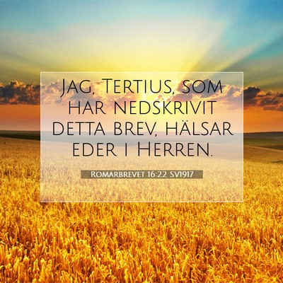 Romarbrevet 16:22 Bibelvers Förklarad