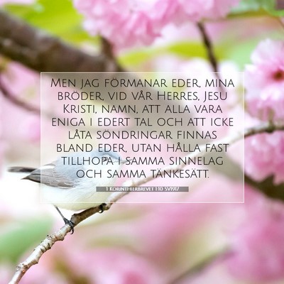 1 Korinthierbrevet 1:10 Bibelvers Förklarad