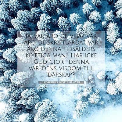 1 Korinthierbrevet 1:20 Bibelvers Förklarad