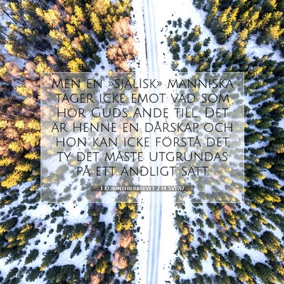 1 Korinthierbrevet 2:14 Bibelvers Förklarad