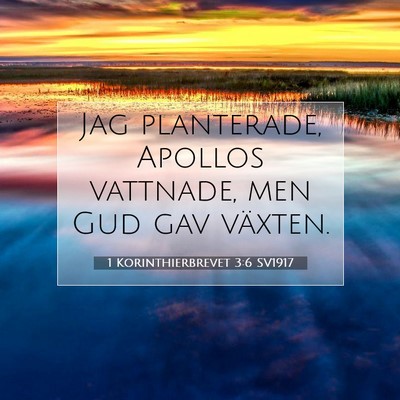 1 Korinthierbrevet 3:6 SV1917 Bild av bibelvers