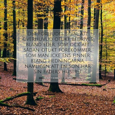 1 Korinthierbrevet 5:1 Bibelvers Förklarad