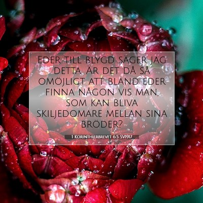 1 Korinthierbrevet 6:5 Bibelvers Förklarad