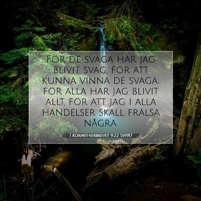 1 Korinthierbrevet 9:22 SV1917 Bild av bibelvers
