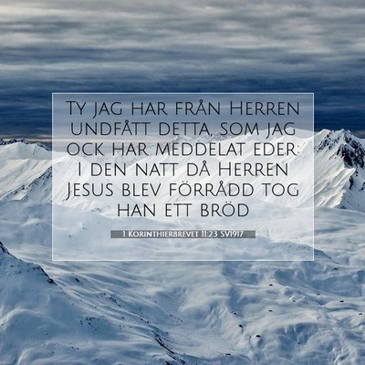 1 Korinthierbrevet 11:23 SV1917 Bild av bibelvers