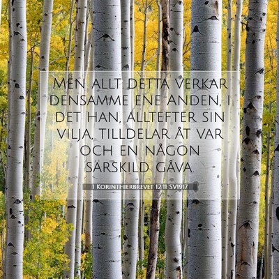 1 Korinthierbrevet 12:11 Bibelvers Förklarad