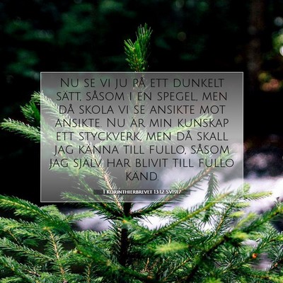 1 Korinthierbrevet 13:12 Bibelvers Förklarad