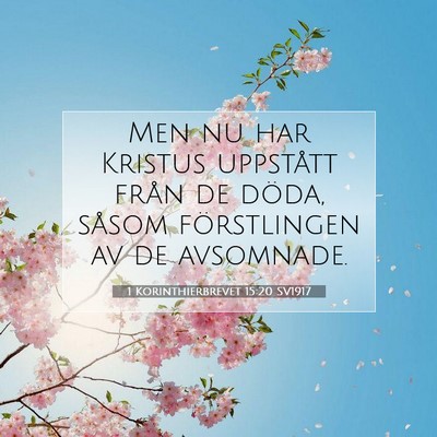 1 Korinthierbrevet 15:20 Bibelvers Förklarad