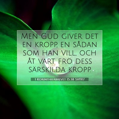 1 Korinthierbrevet 15:38 Bibelvers Förklarad