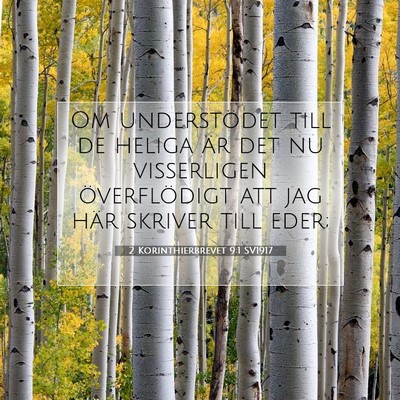 2 Korinthierbrevet 9:1 SV1917 Bild av bibelvers