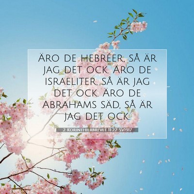 2 Korinthierbrevet 11:22 SV1917 Bild av bibelvers