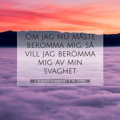 2 Korinthierbrevet 11:30 SV1917 Bild av bibelvers