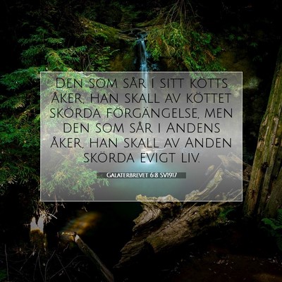 Galaterbrevet 6:8 SV1917 Bild av bibelvers