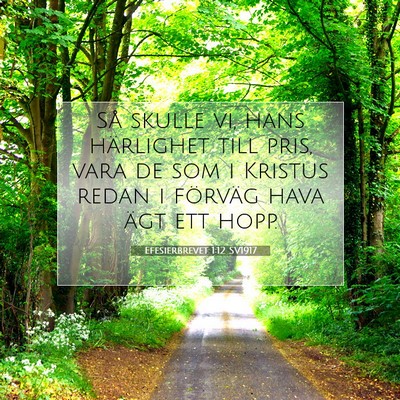 Efesierbrevet 1:12 SV1917 Bild av bibelvers