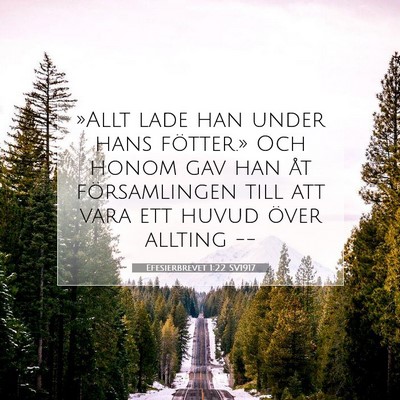 Efesierbrevet 1:22 SV1917 Bild av bibelvers