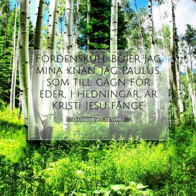 Efesierbrevet 3:1 SV1917 Bild av bibelvers