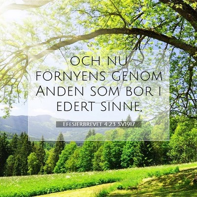 Efesierbrevet 4:23 SV1917 Bild av bibelvers