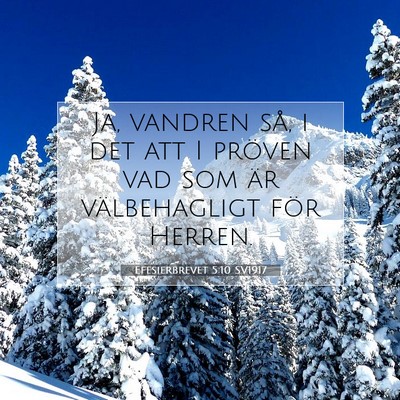 Efesierbrevet 5:10 SV1917 Bild av bibelvers