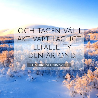 Efesierbrevet 5:16 SV1917 Bild av bibelvers