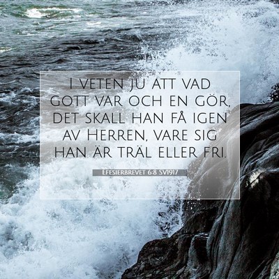 Efesierbrevet 6:8 SV1917 Bild av bibelvers