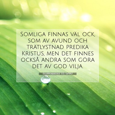 Filipperbrevet 1:15 Bibelvers Förklarad