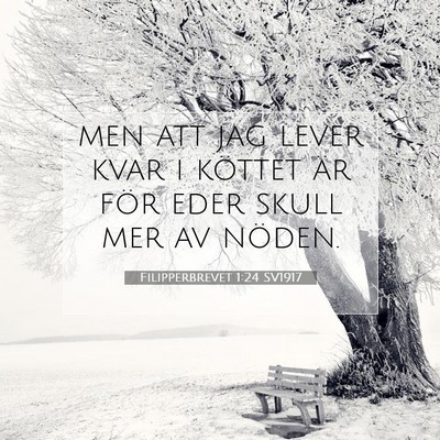 Filipperbrevet 1:24 Bibelvers Förklarad