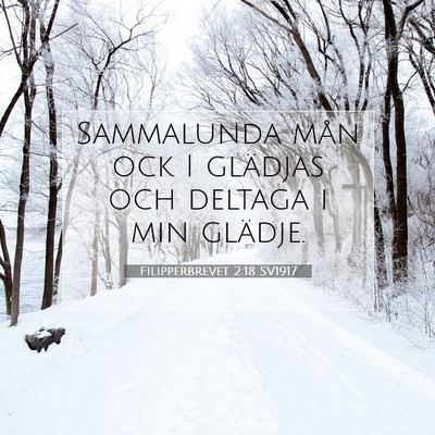 Filipperbrevet 2:18 Bibelvers Förklarad