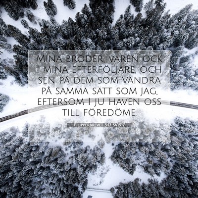 Filipperbrevet 3:17 SV1917 Bild av bibelvers