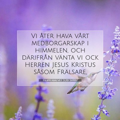 Filipperbrevet 3:20 SV1917 Bild av bibelvers